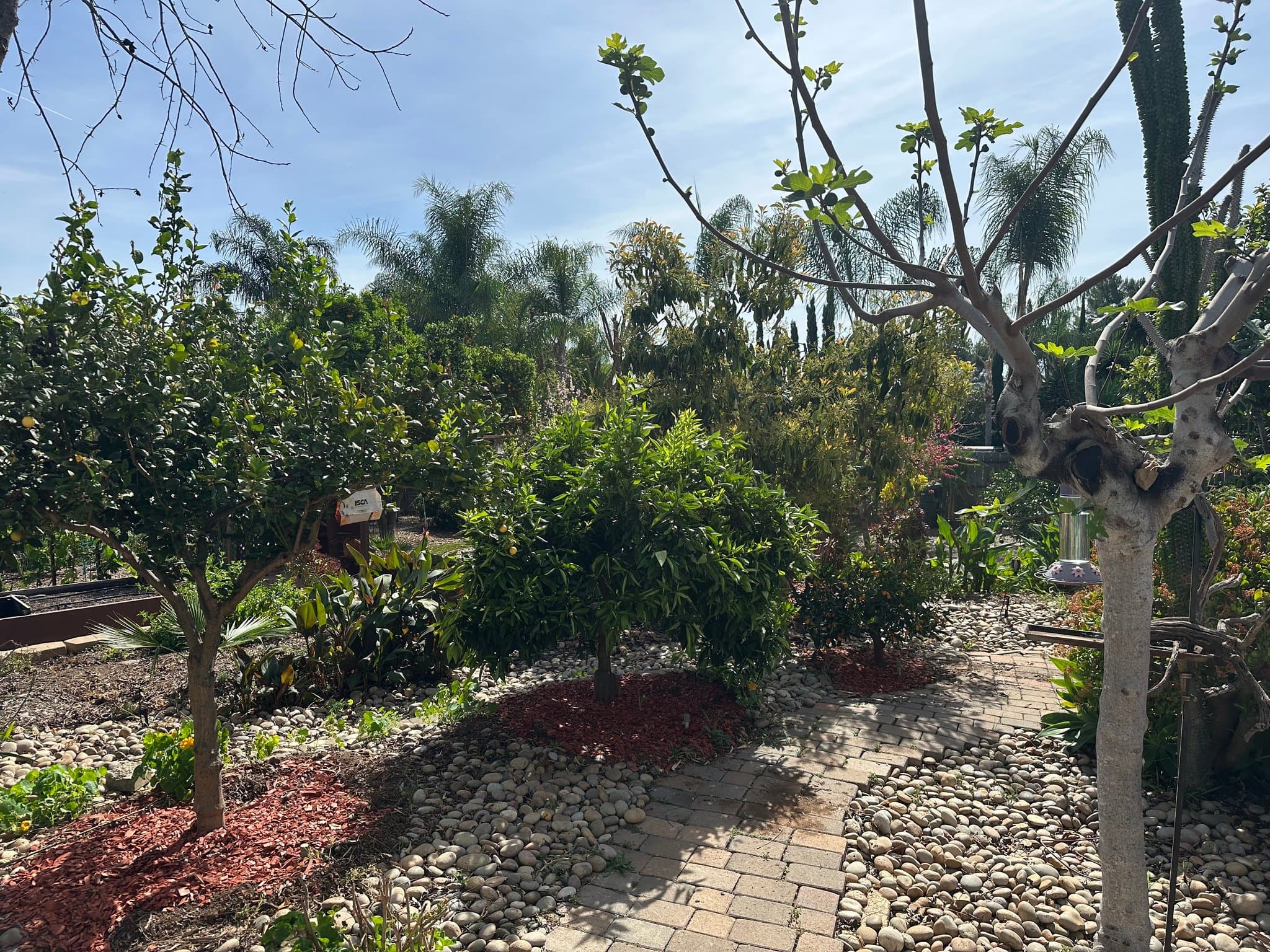 Escondido Other: 1646 Palomino Ln