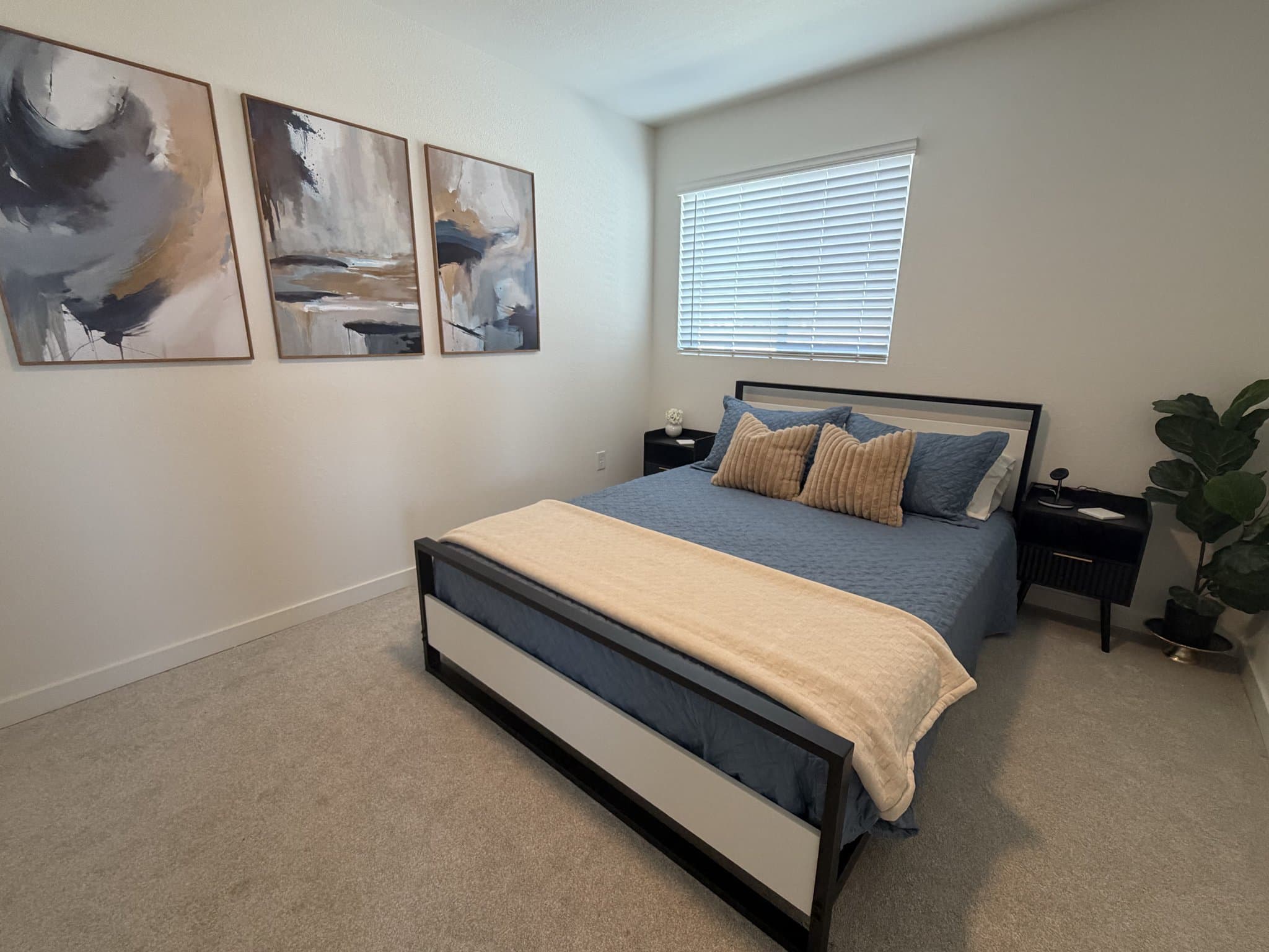 Colorado Springs House: 8729 Shorewood Dr