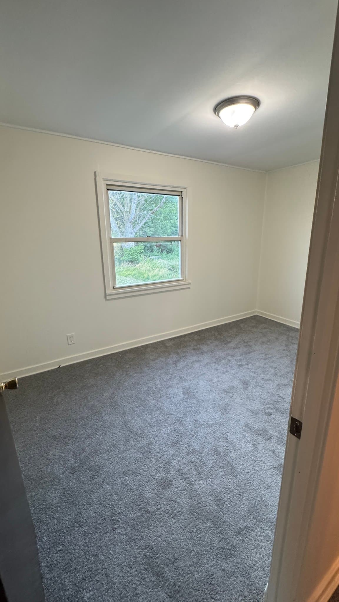 Cheektowaga Multiplex: 84 Ellwood Pl