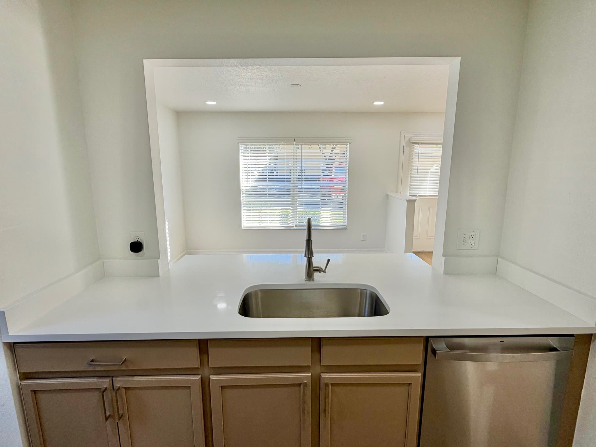 Valrico Townhome: 3444 Dragon View Ct
