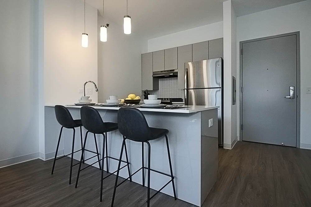 Chicago Condo: 839 W Van Buren St