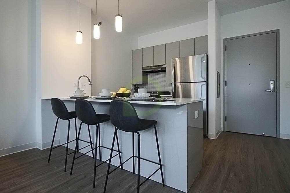 Chicago Condo: 839 W Van Buren St