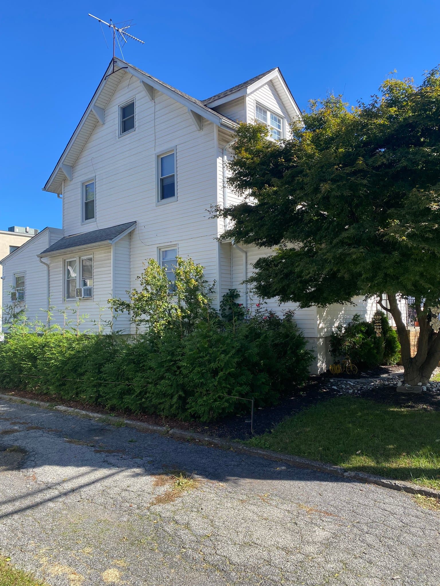 Dumont House: 56 Dumont Ave