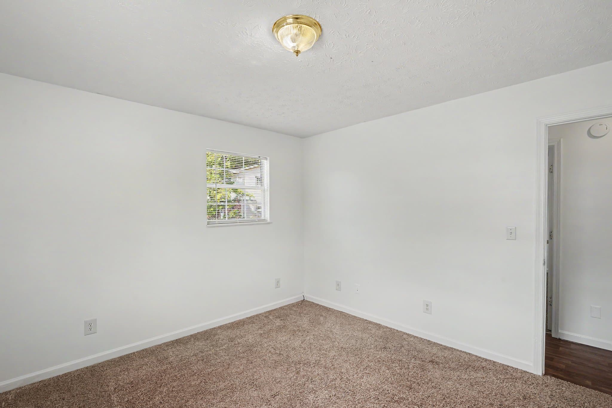 Jacksboro Apartment: 215 Timberlake Circle