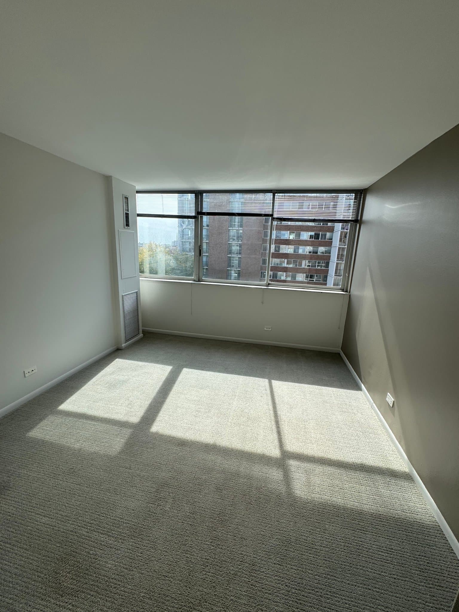 Chicago Condo: 891 S Ashland