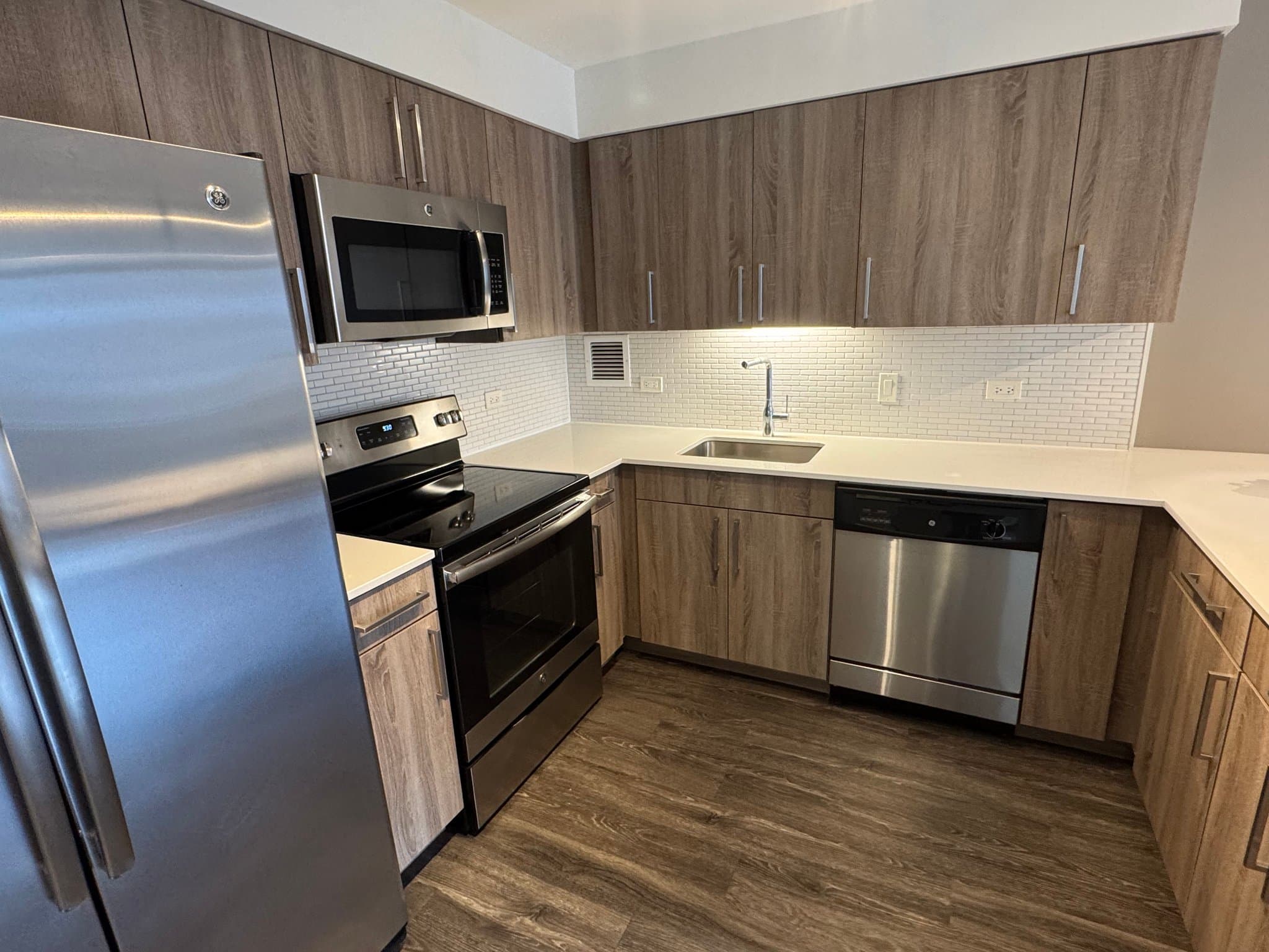 Chicago Condo: 891 S Ashland