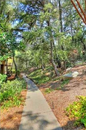 Hollywood Hills Single Room: 3480 Barham Blvd