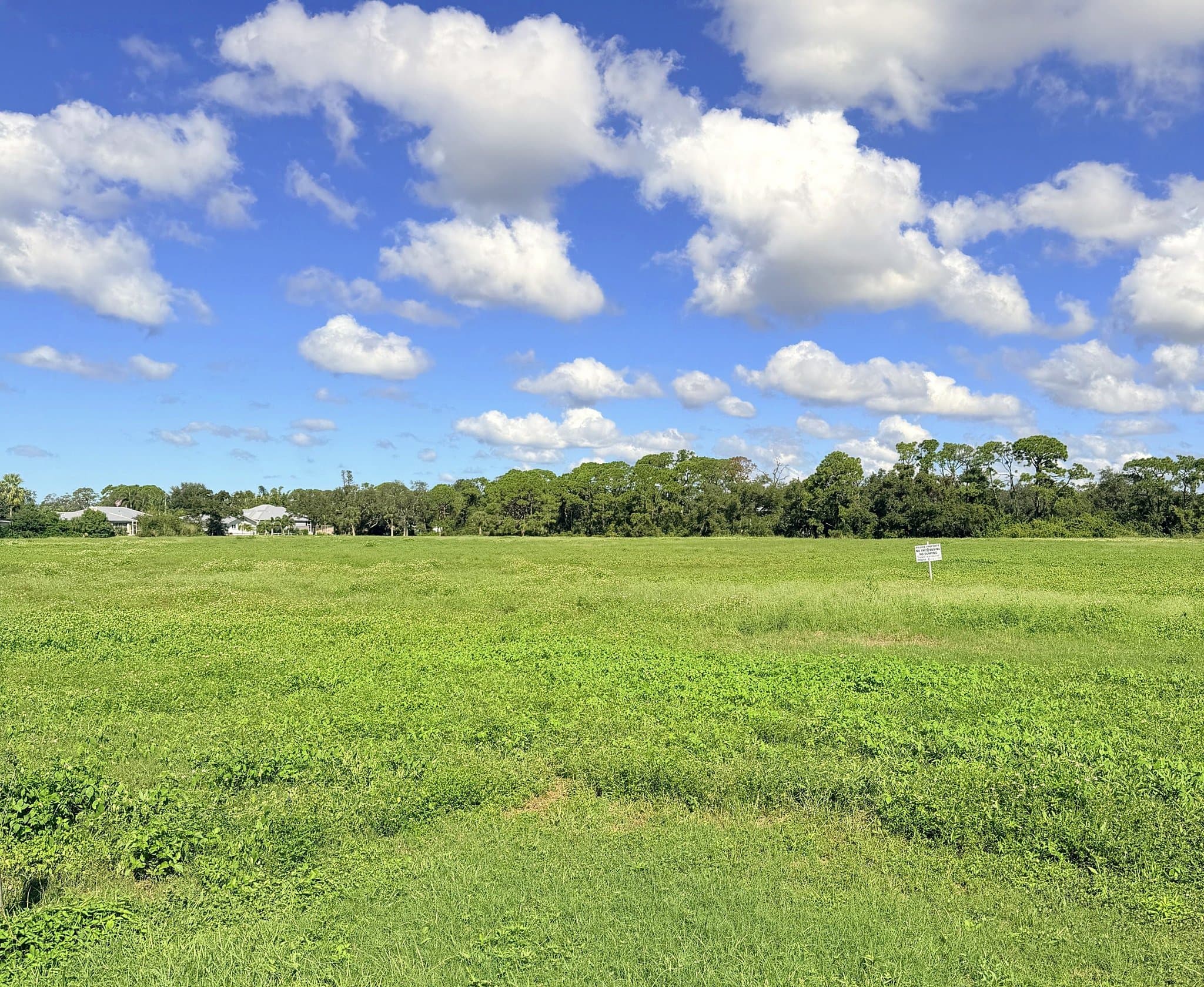 Nokomis Multiplex: 210 Albee Road West