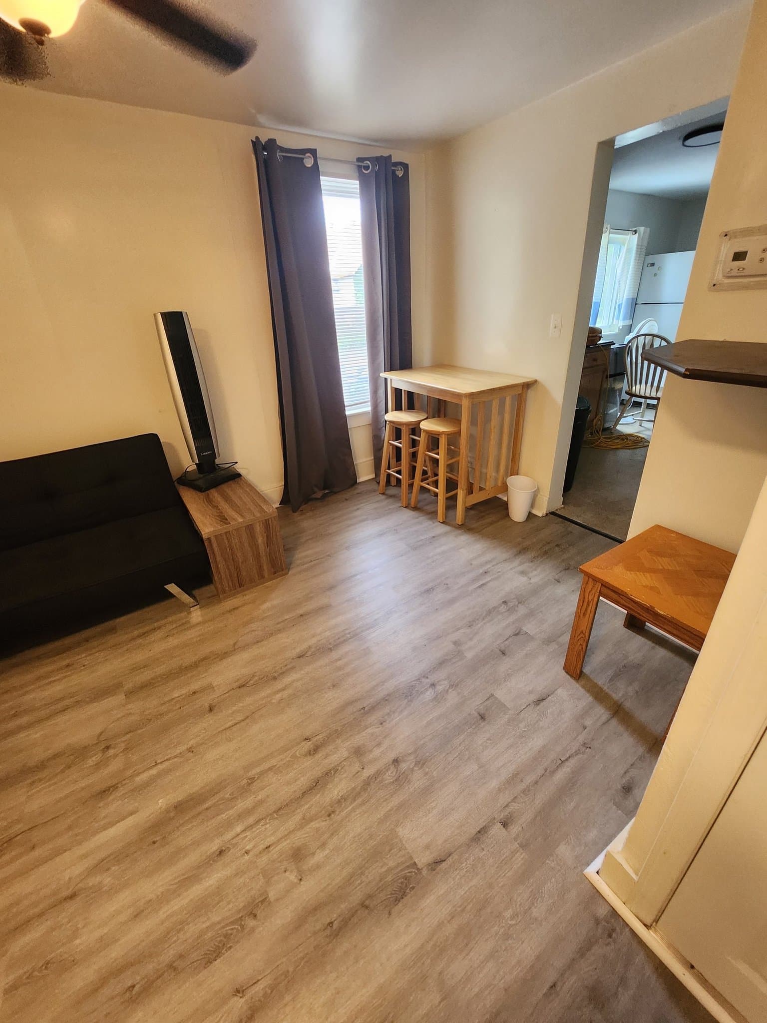 Binghamton Apartment: 61 Walnut St
