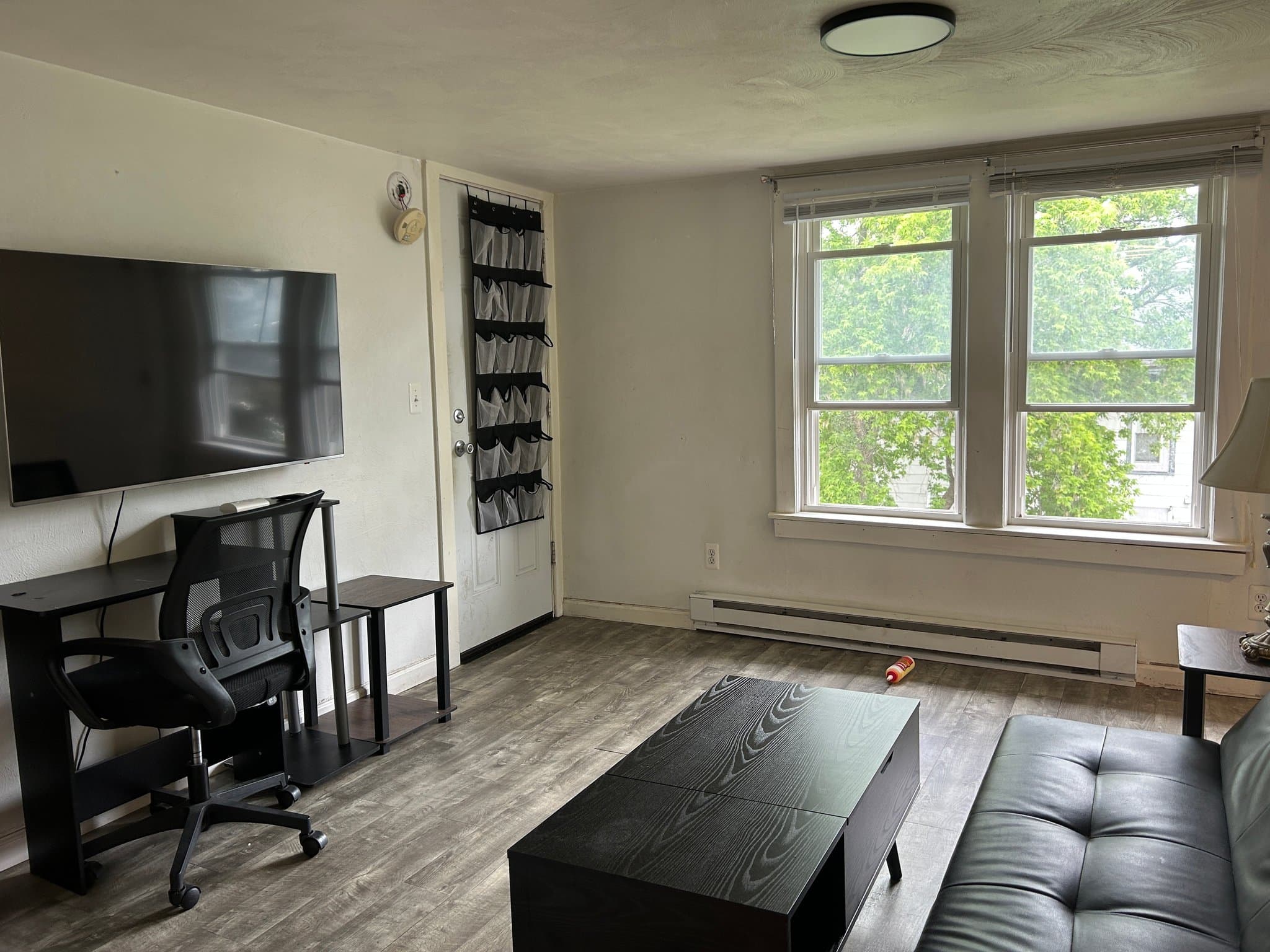 Binghamton Apartment: 61 Walnut St