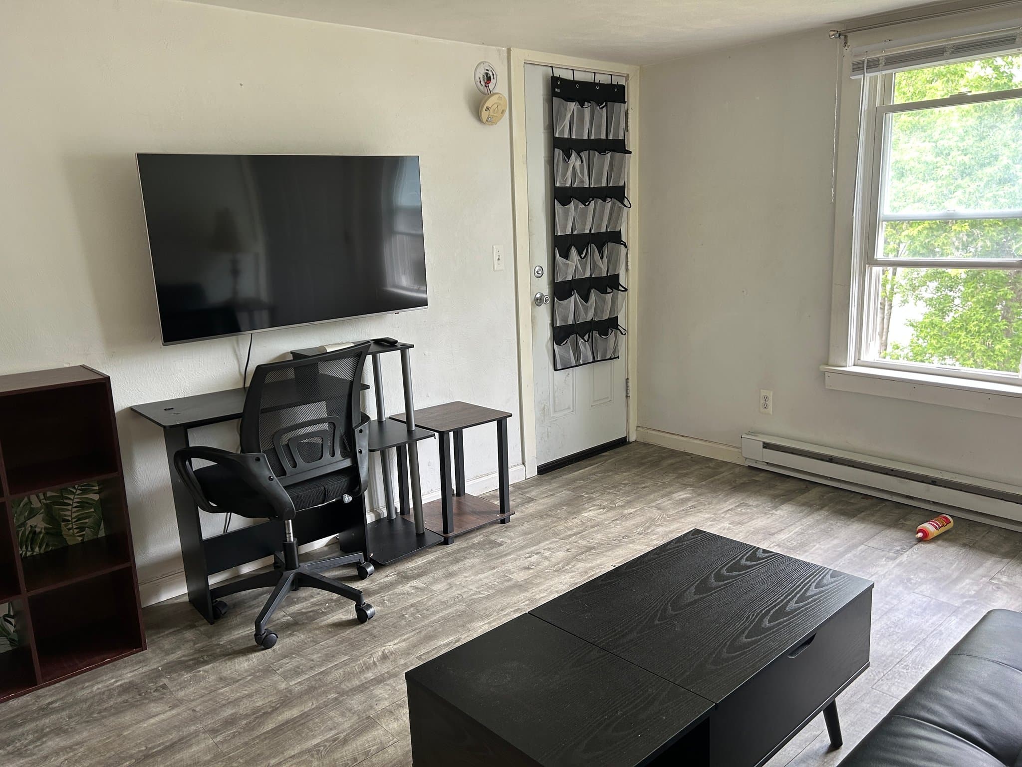 Binghamton Apartment: 61 Walnut St