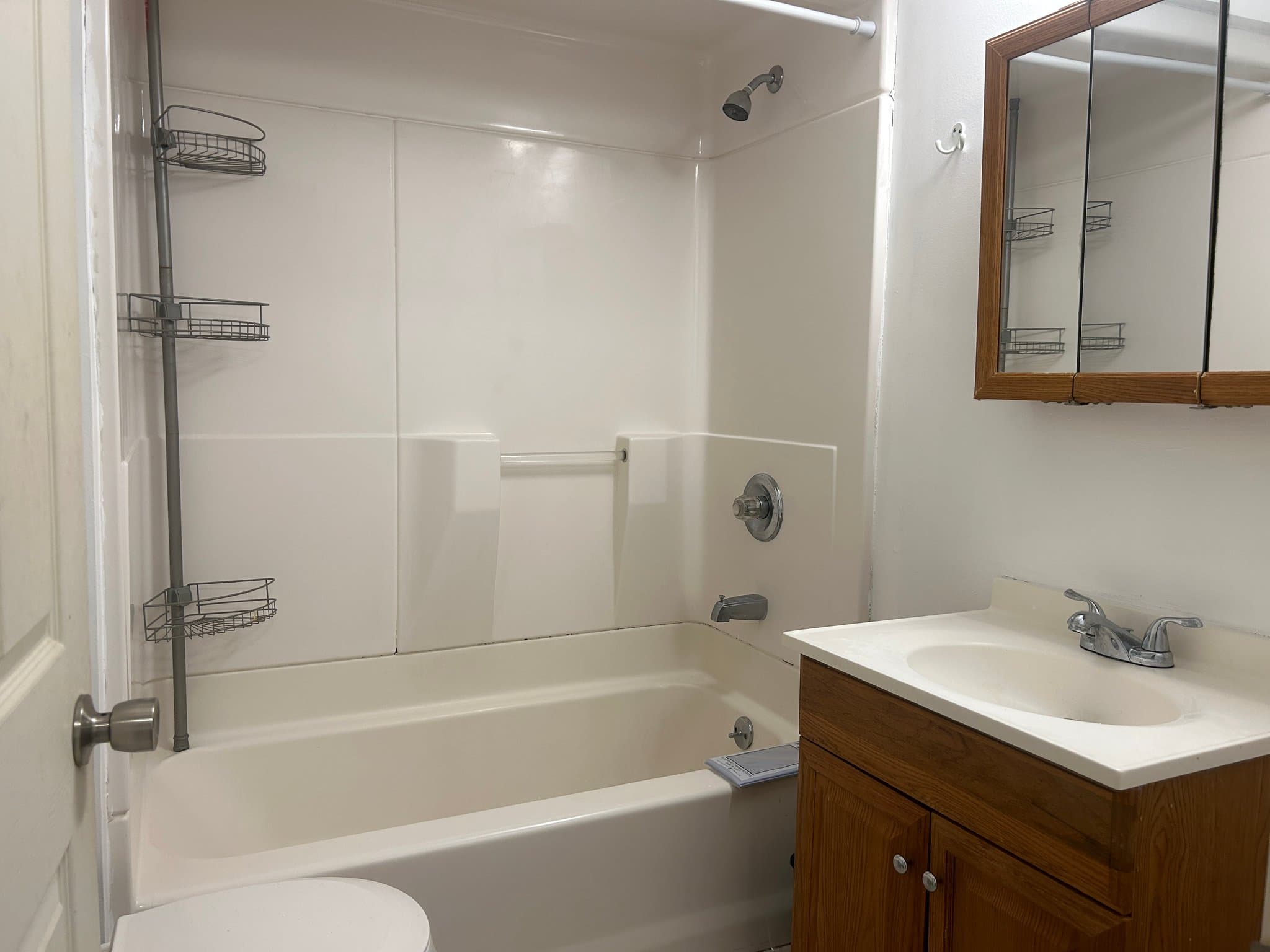 Binghamton Apartment: 61 Walnut St