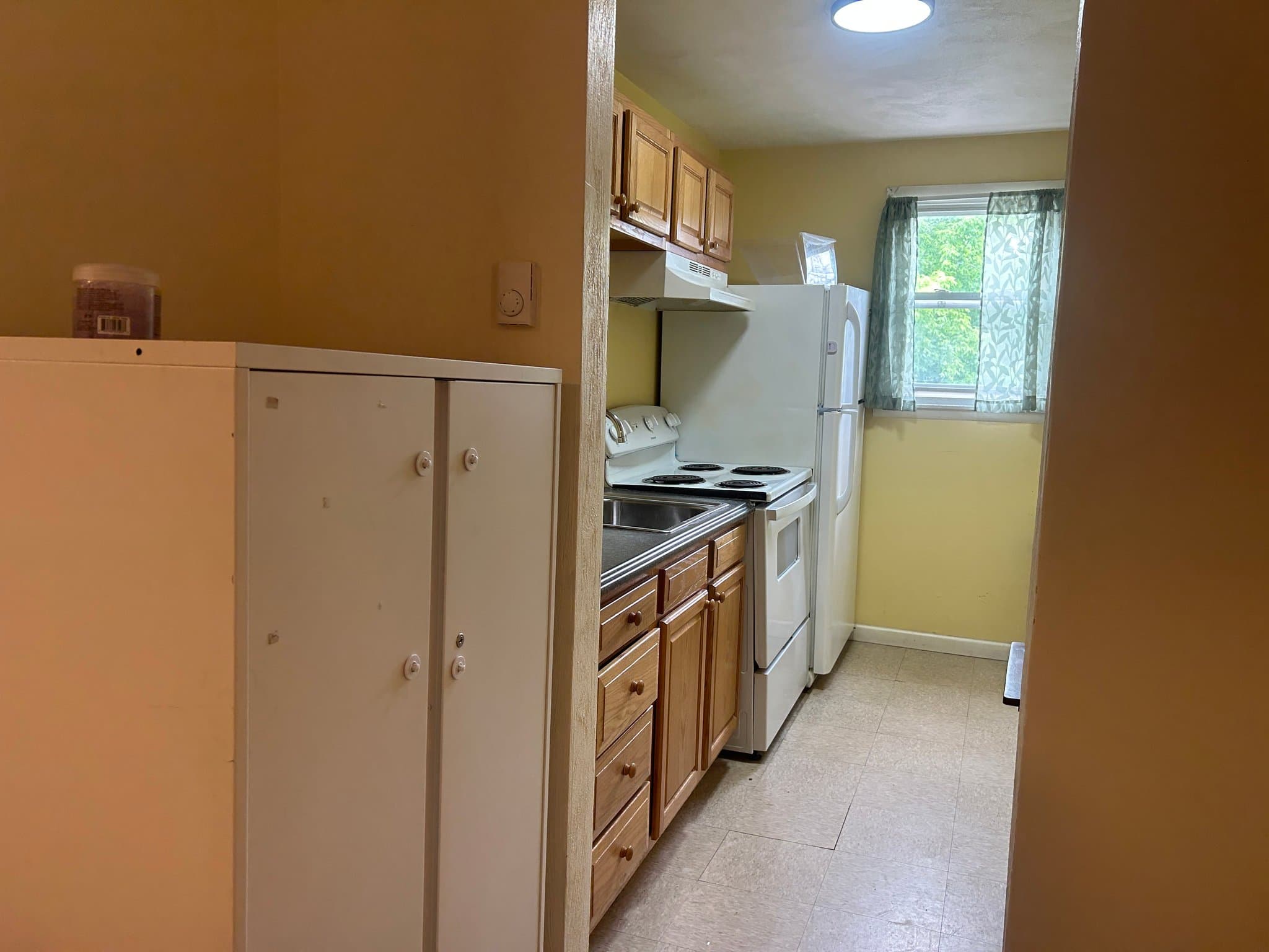 Binghamton Apartment: 61 Walnut St