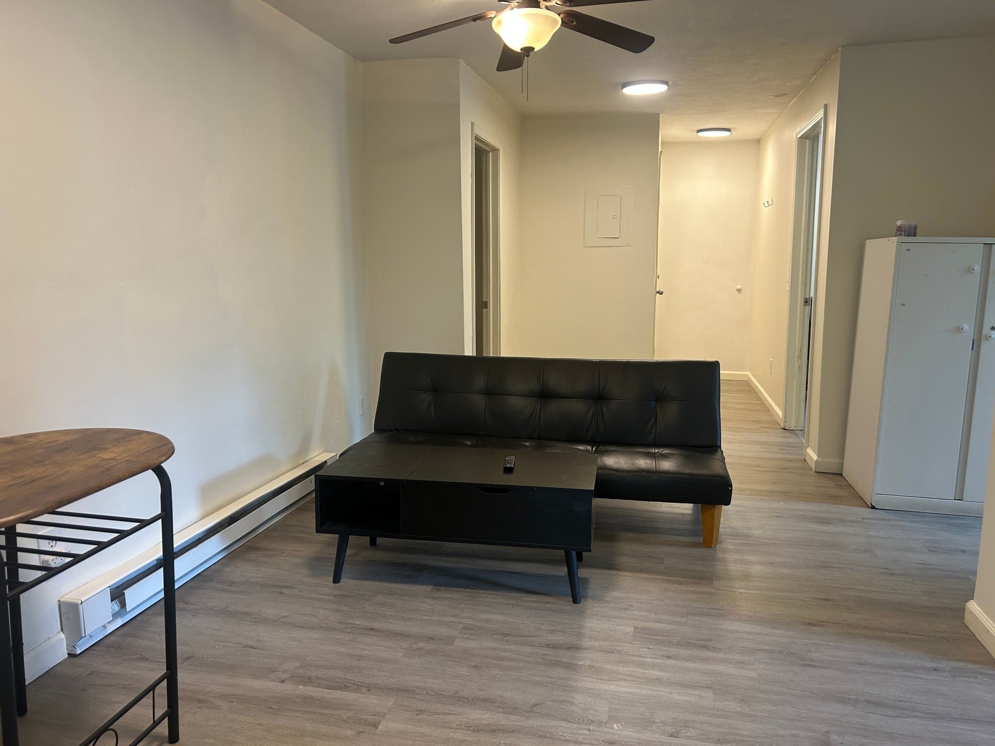 Binghamton Apartment: 61 Walnut St
