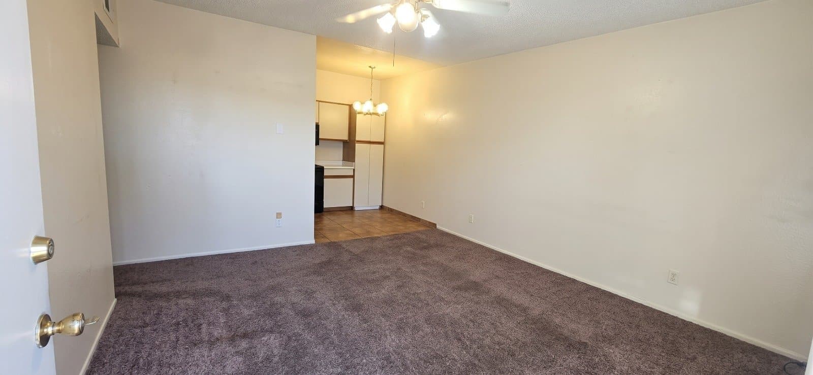 Mesa Multiplex: Mesa Dr - E Frost Cir (24 Units)