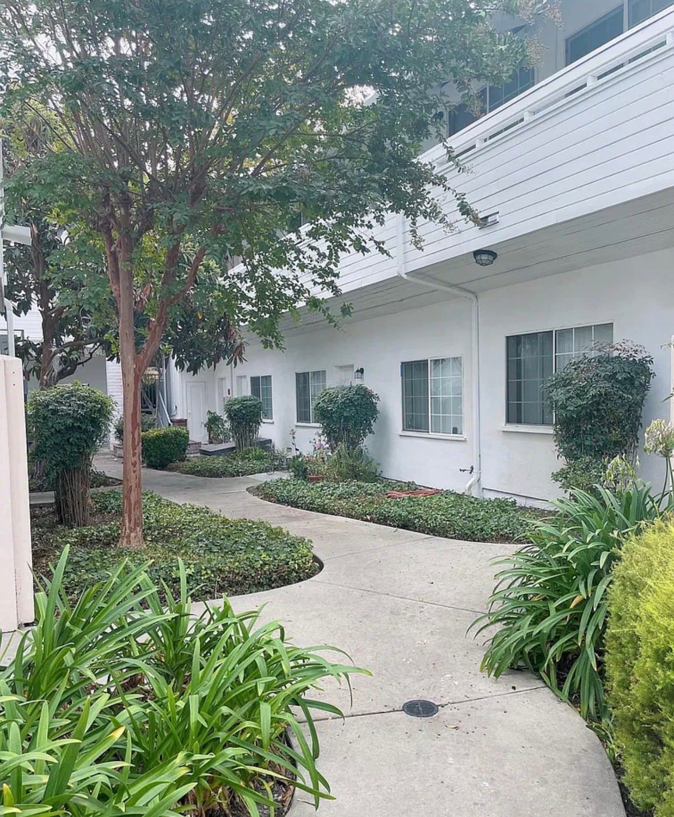 San Jose Apartment: 225 E Taylor St