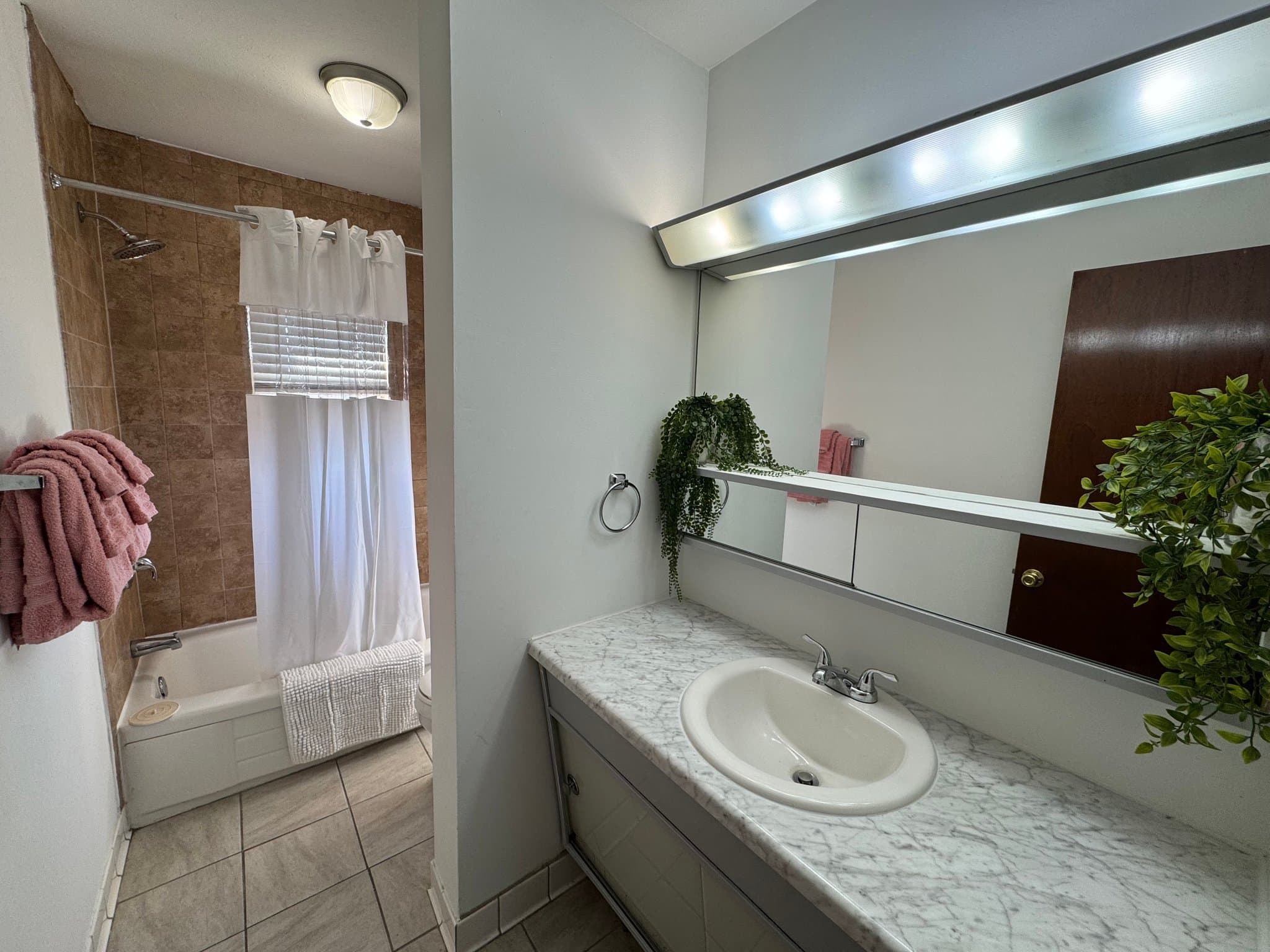 Springfield Single Room: 1215 E Elm St