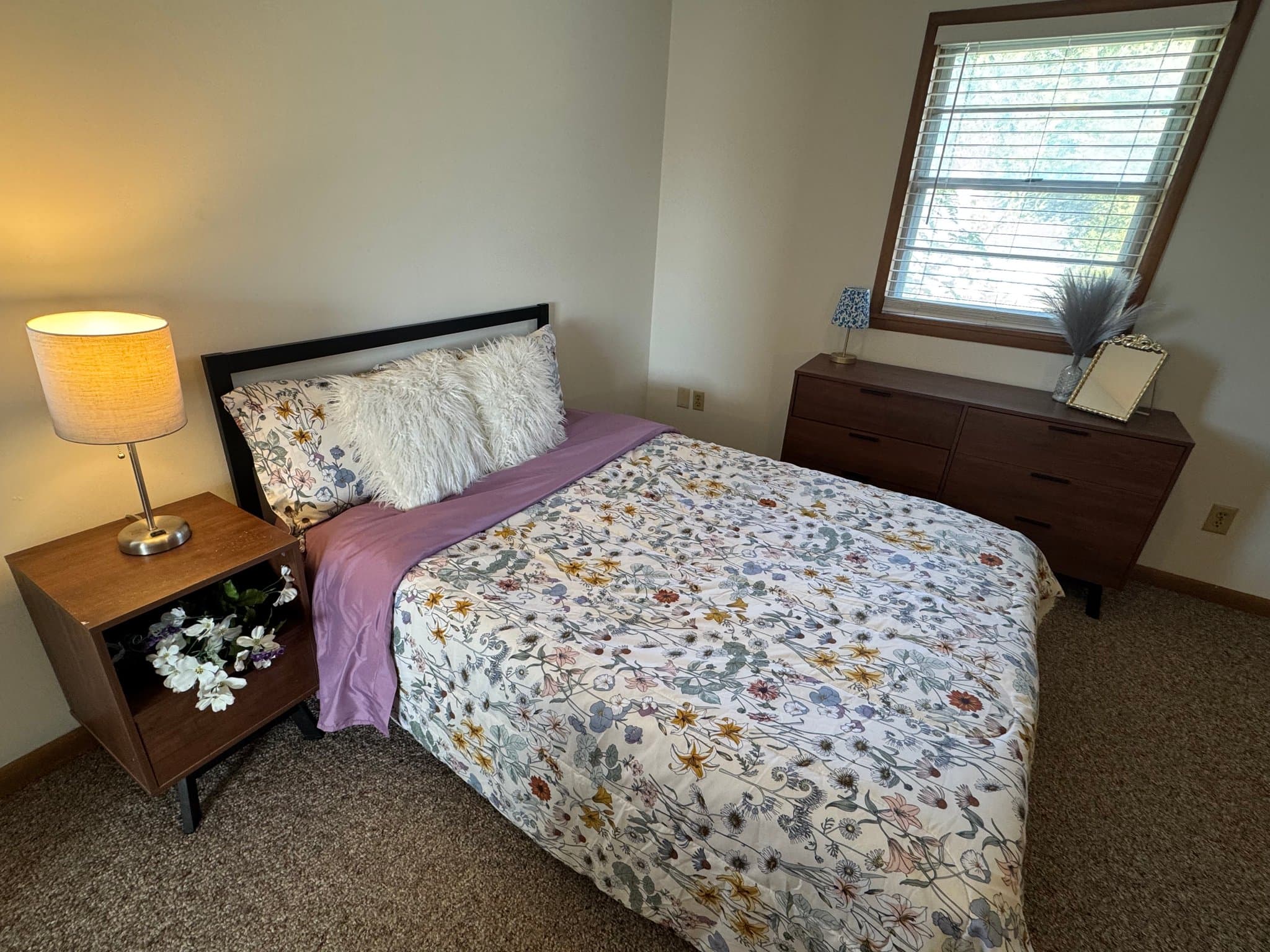 Springfield Single Room: 1215 E Elm St
