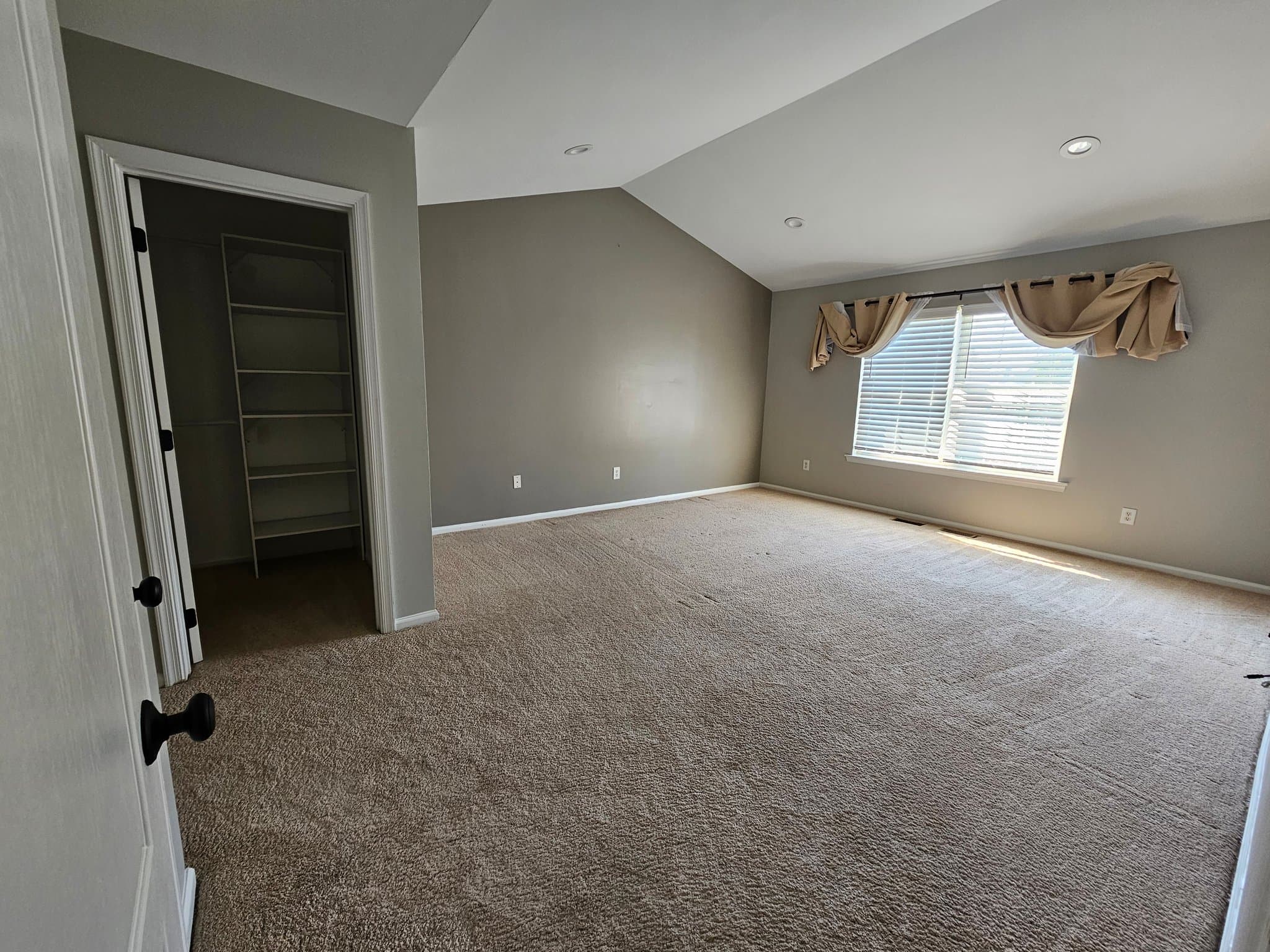 Bear House: 150 Wynnefield Rd