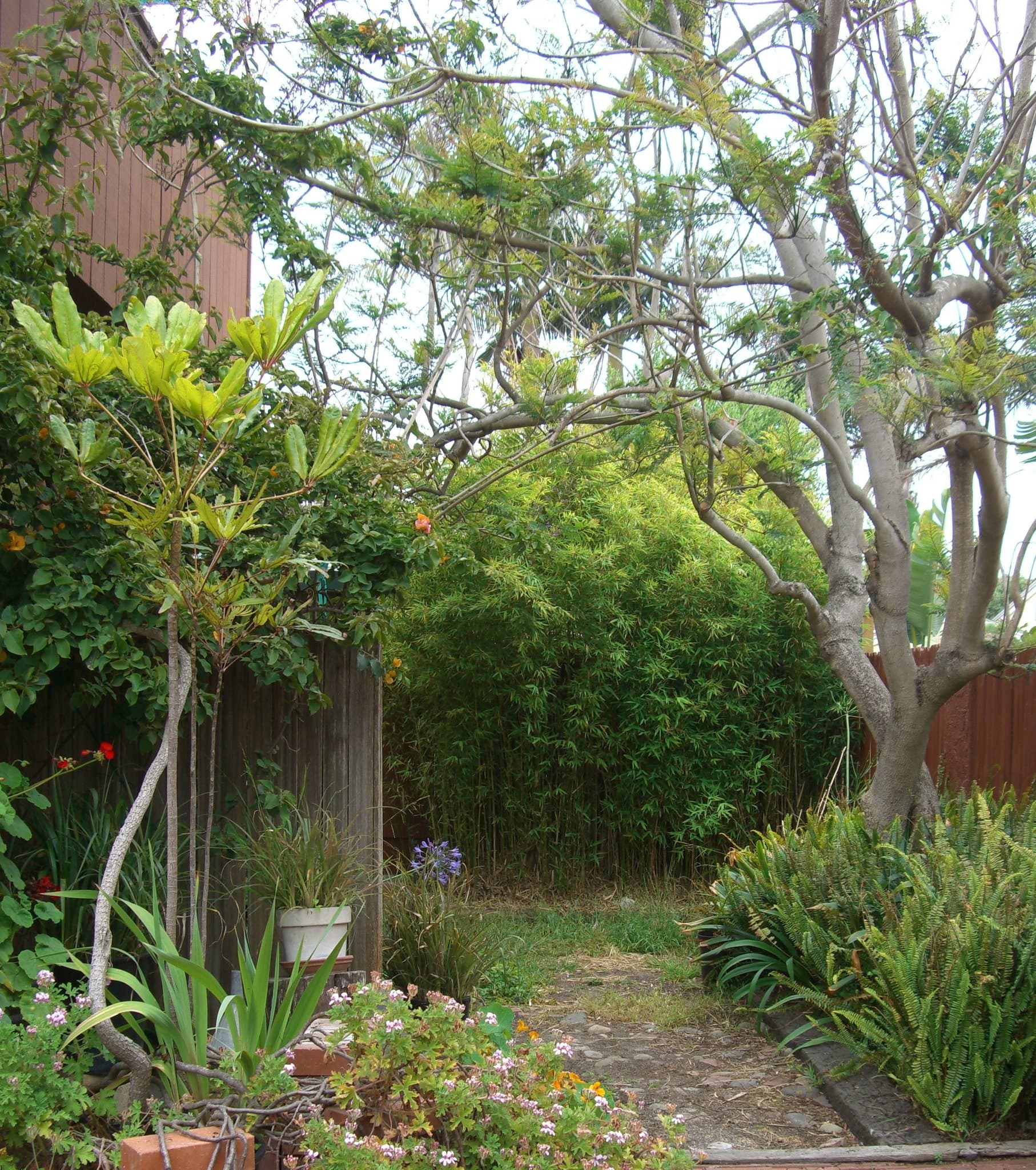 Ventura House: 1071 Pittsfield Ln