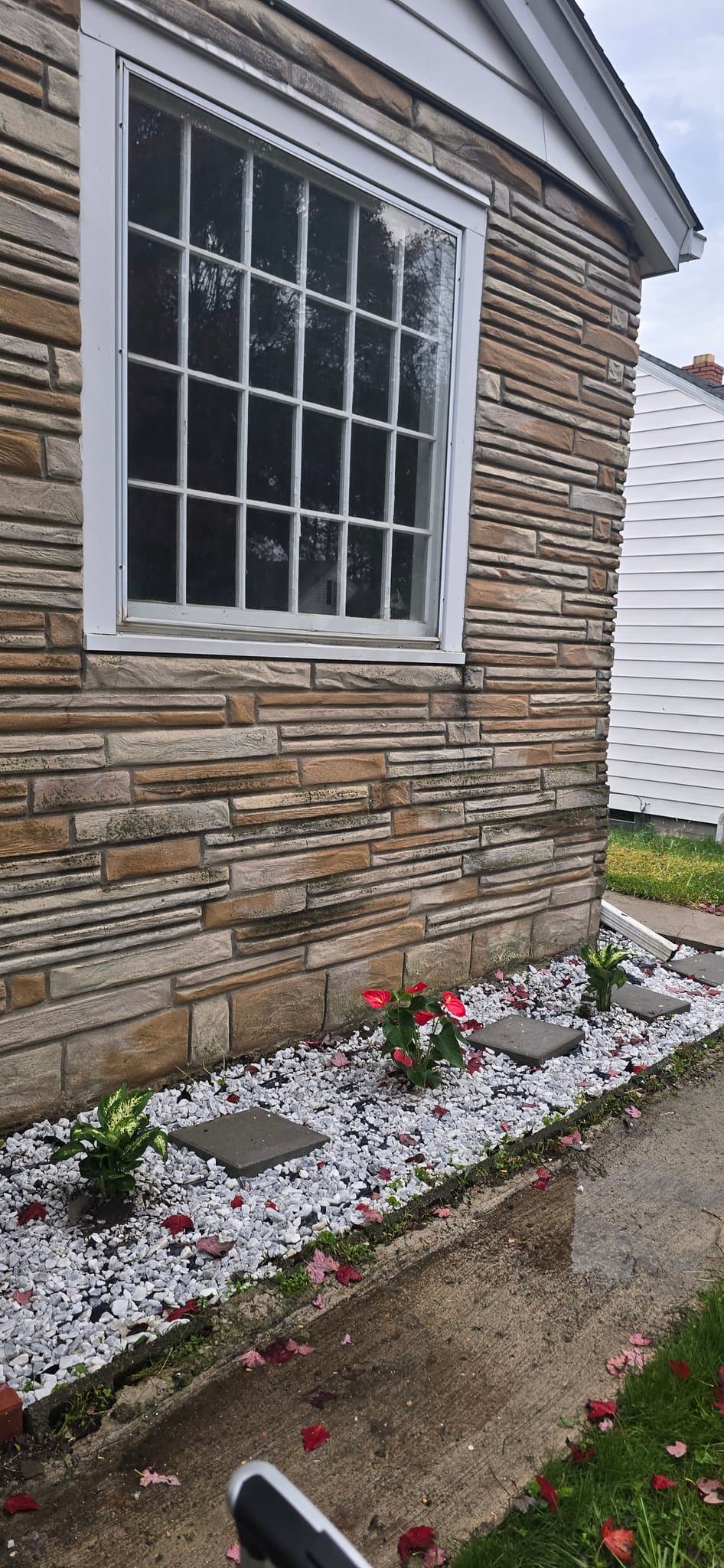 Rochester House: 148 Ellsinore St