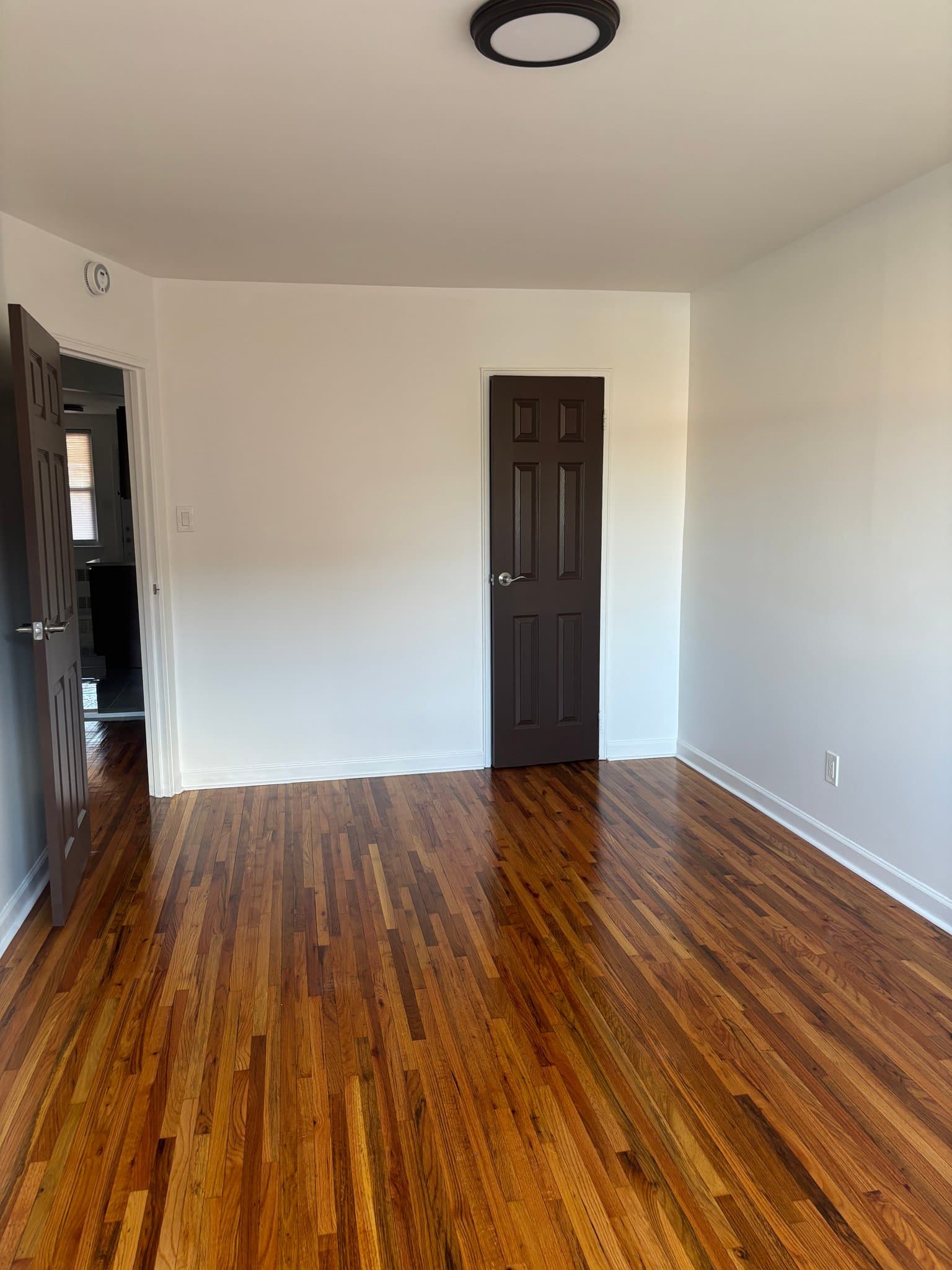 Brooklyn Multiplex: 1321 Blake Ave