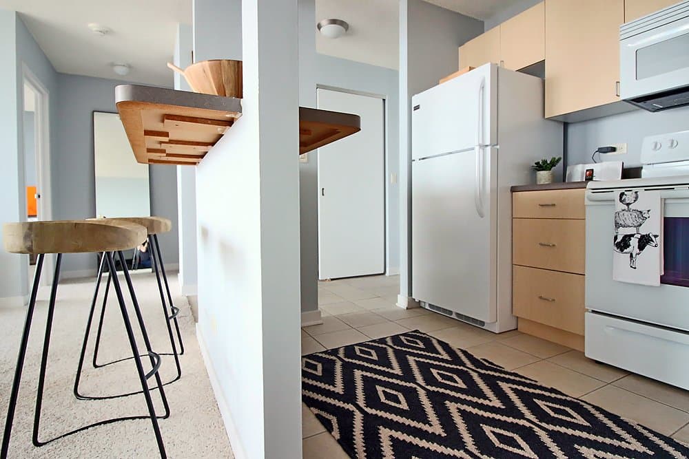 Chicago Condo: 1241 S Wabash Ave