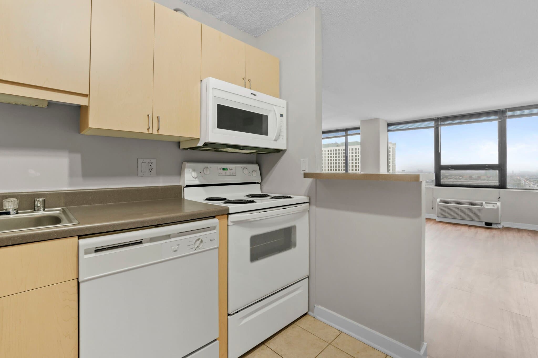 Chicago Condo: 1241 S Wabash Ave