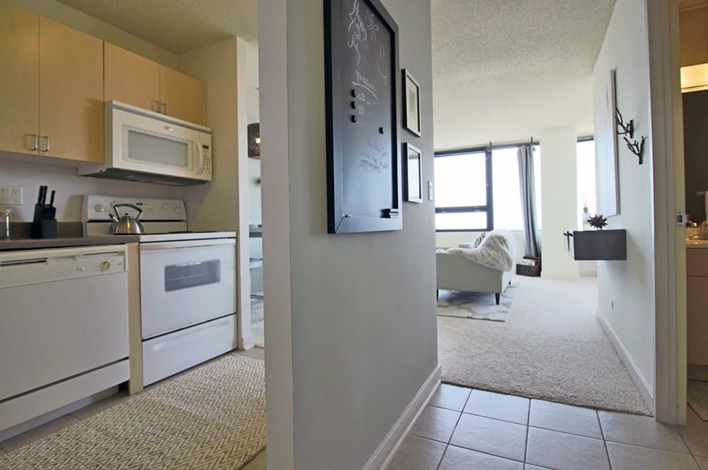 Chicago Condo: 1241 S Wabash Ave