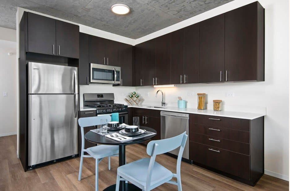 Chicago Condo: 1329 S Michigan Ave