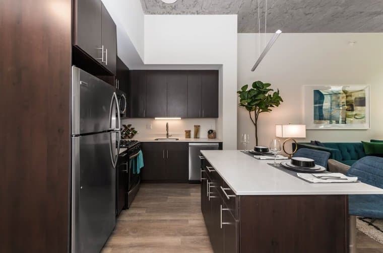 Chicago Condo: 1329 S Michigan Ave