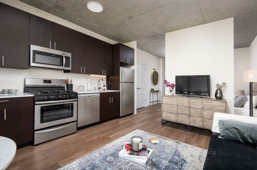Chicago Condo: 1329 S Michigan Ave