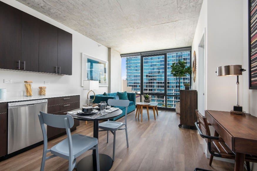 Chicago Condo: 1329 S Michigan Ave