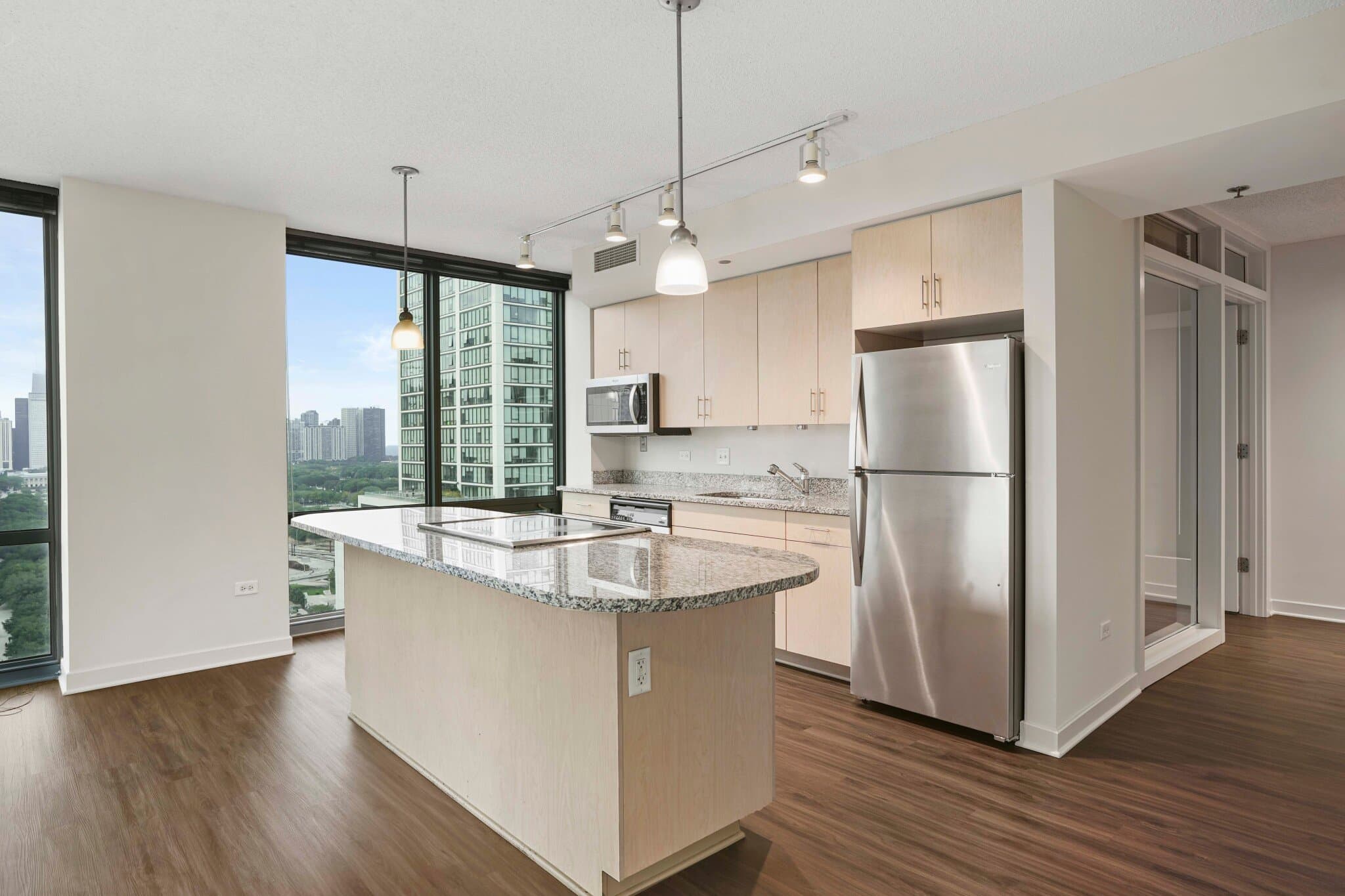 Chicago Condo: 1329 S Indiana Ave