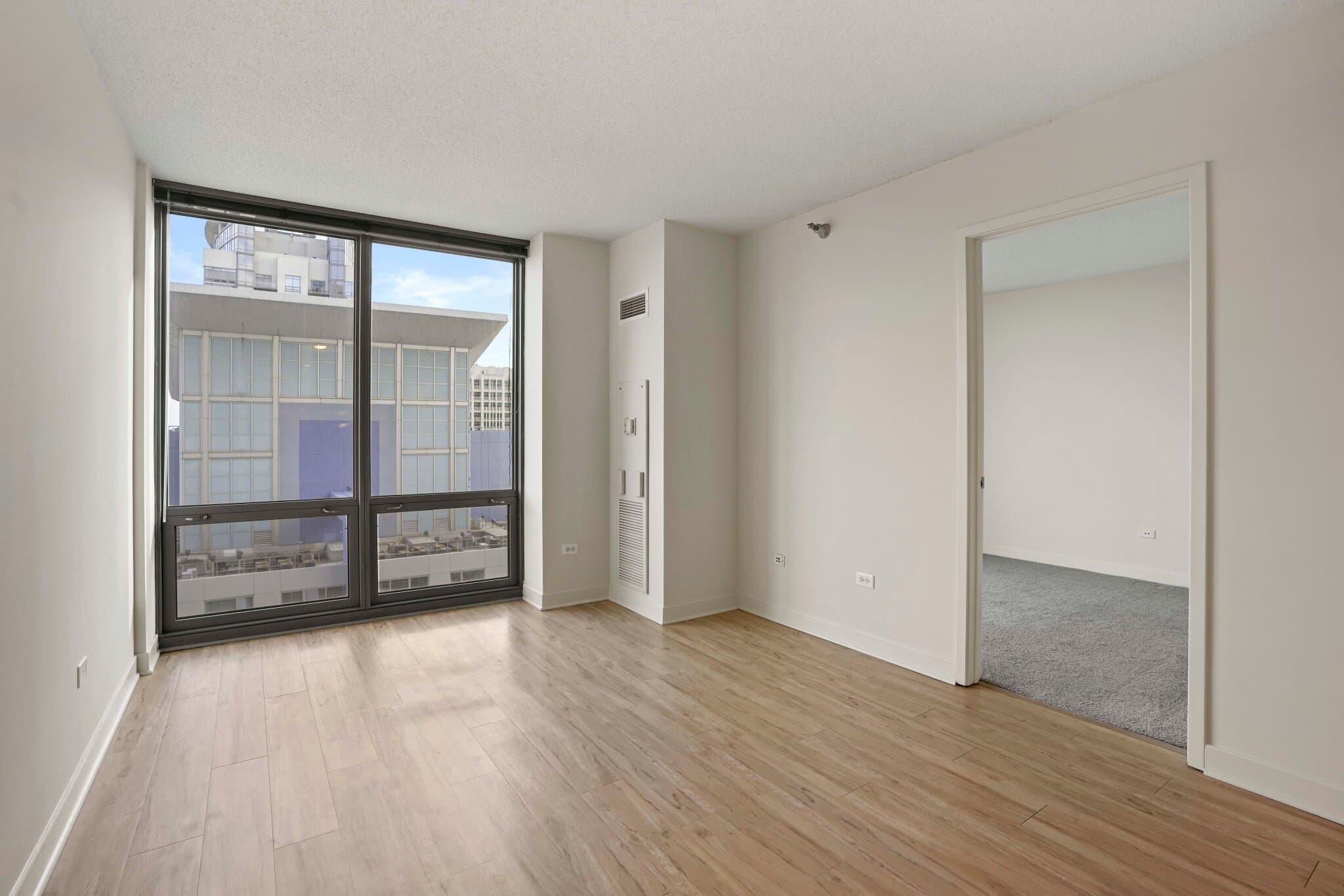 Chicago Condo: 1329 S Indiana Ave