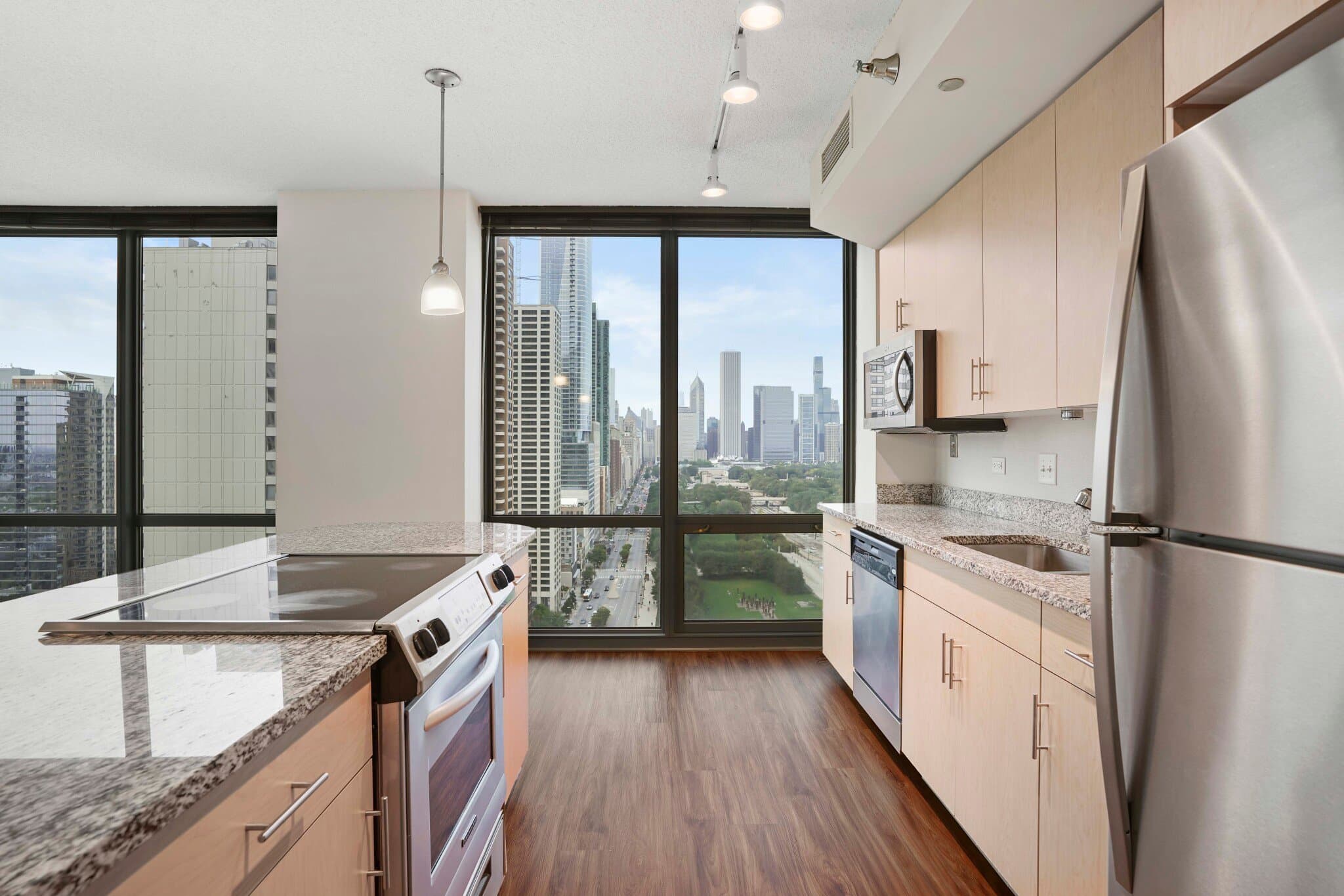 Chicago Condo: 1329 S Indiana Ave