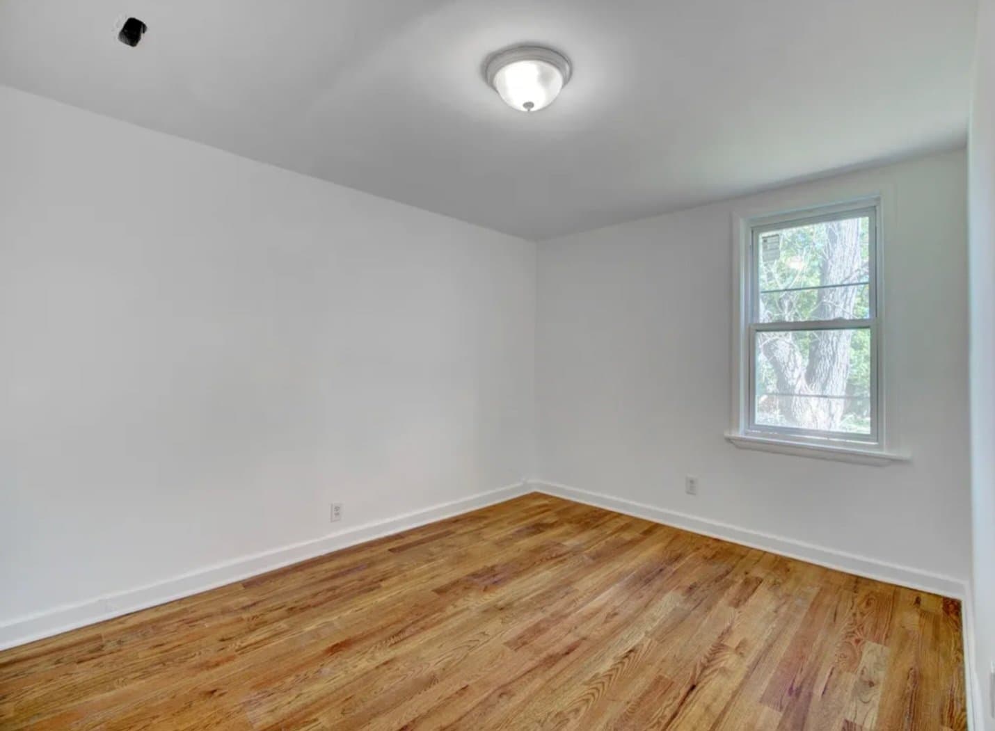 South Plainfied Multiplex: 204 Montrose Ave