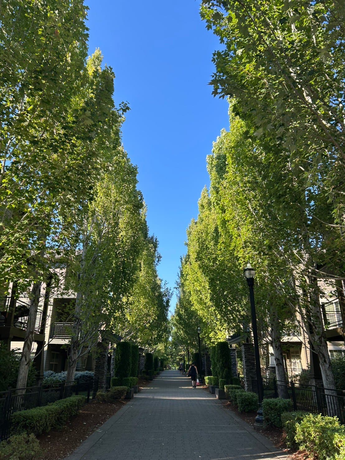 Beaverton Condo: 600 NE Newstead Ln
