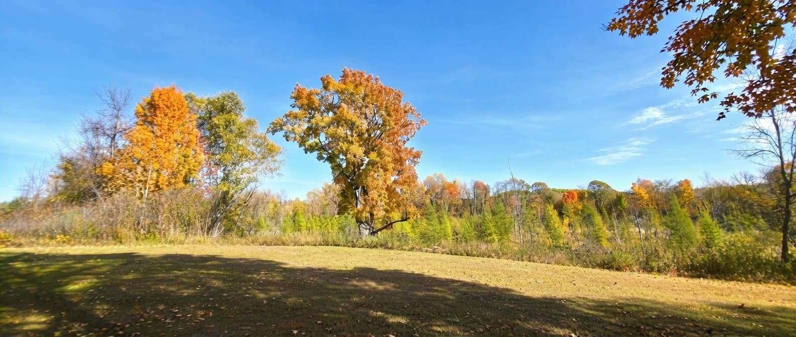 Frederic House: 20091 County Line Rd