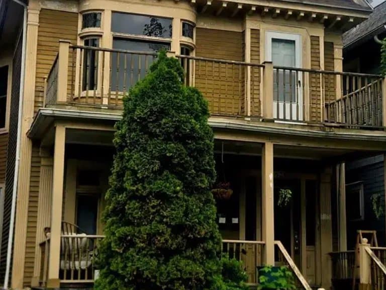 Buffalo Multiplex: 527 Massachusett Ave