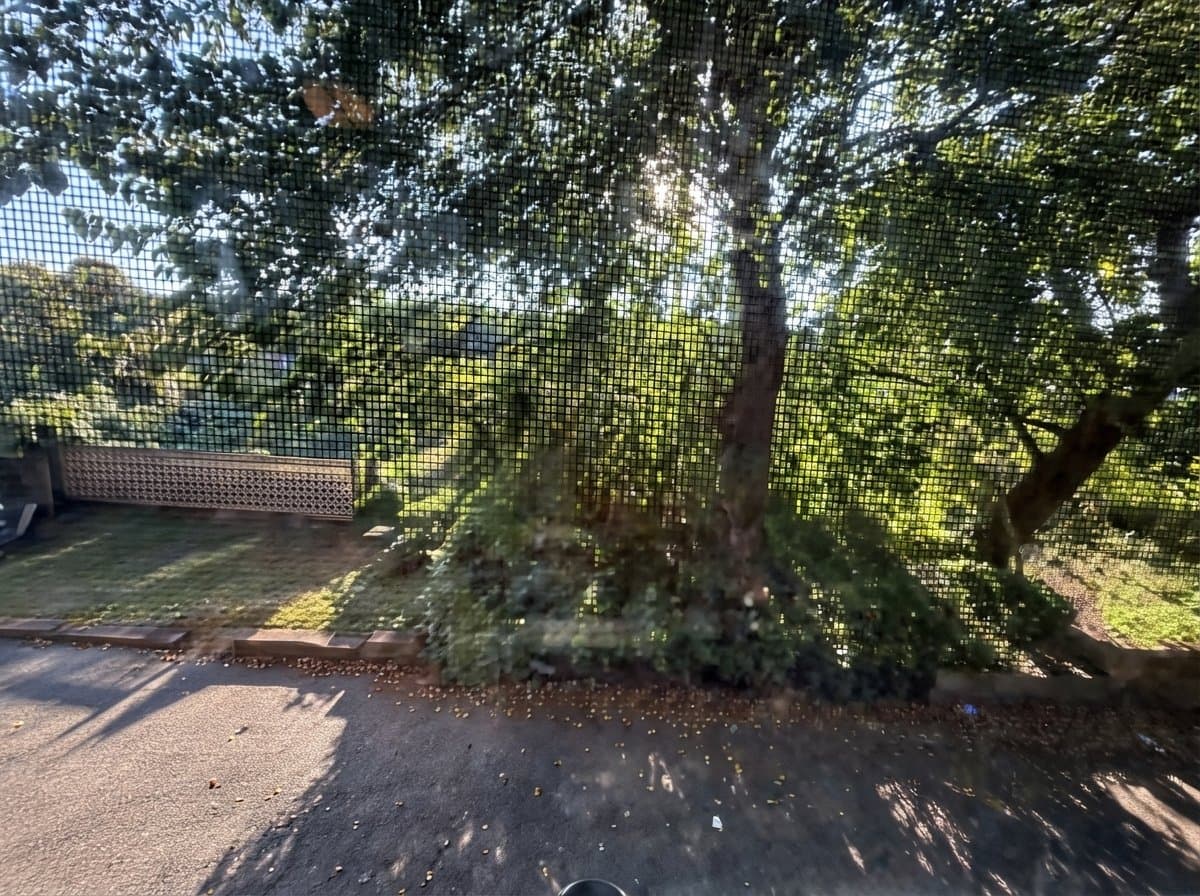 Upper Darby Townhome: 80 Springton Rd