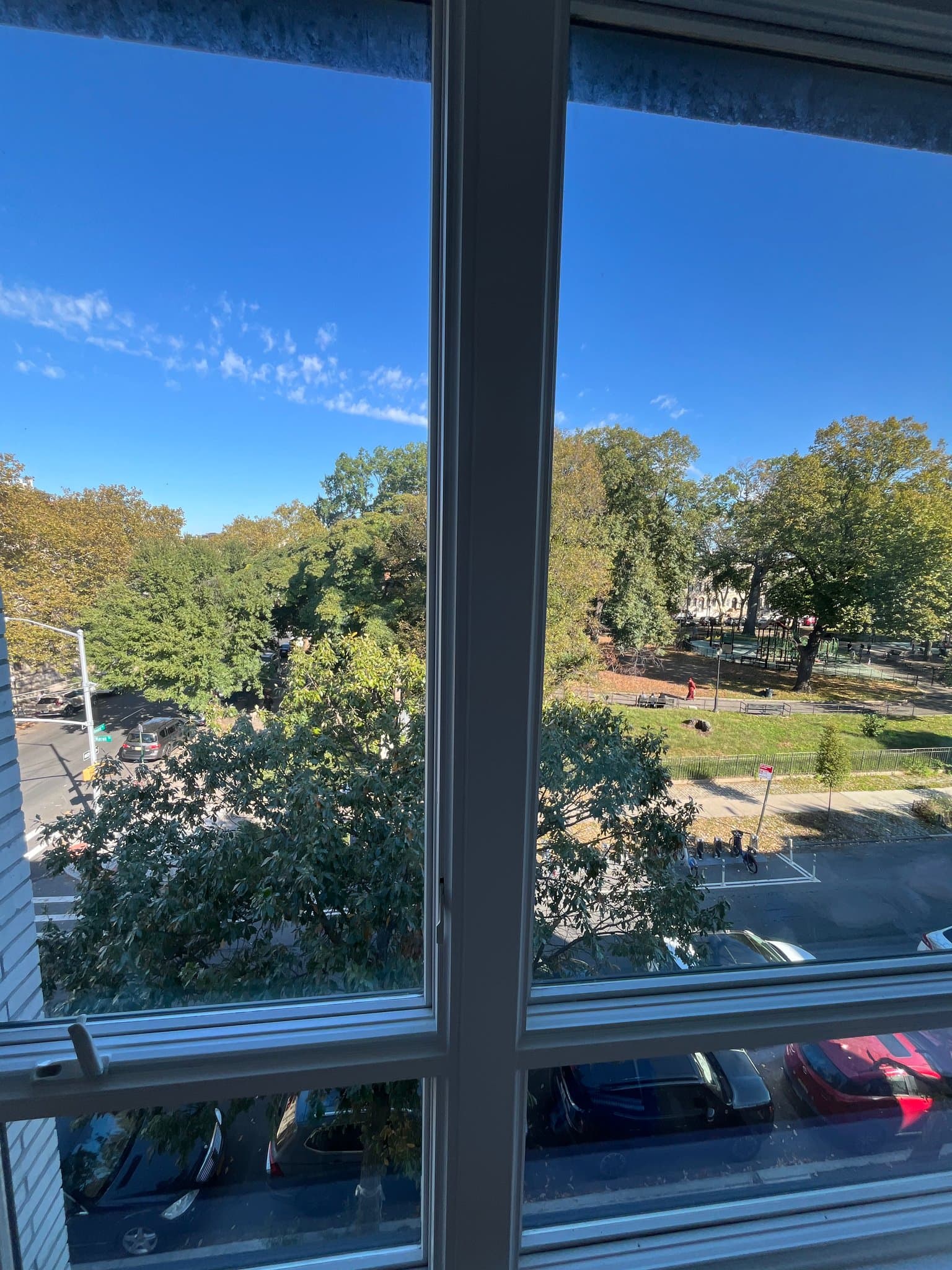 Brooklyn Condo: 764 Macon St