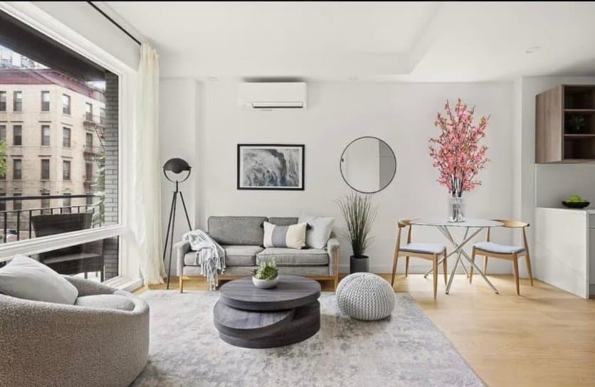Brooklyn Condo: 764 Macon St