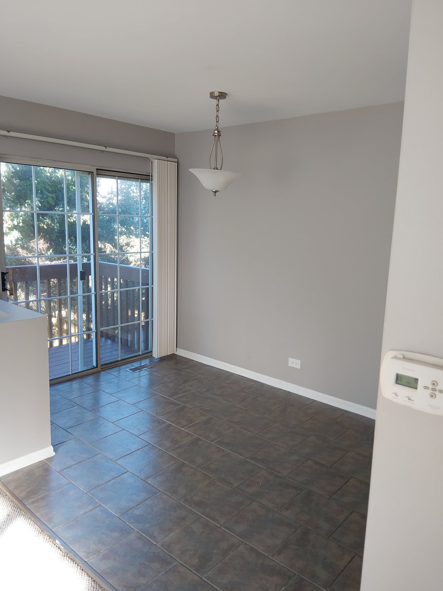 South Elgin Townhome: 1276 Sandhurst Ln