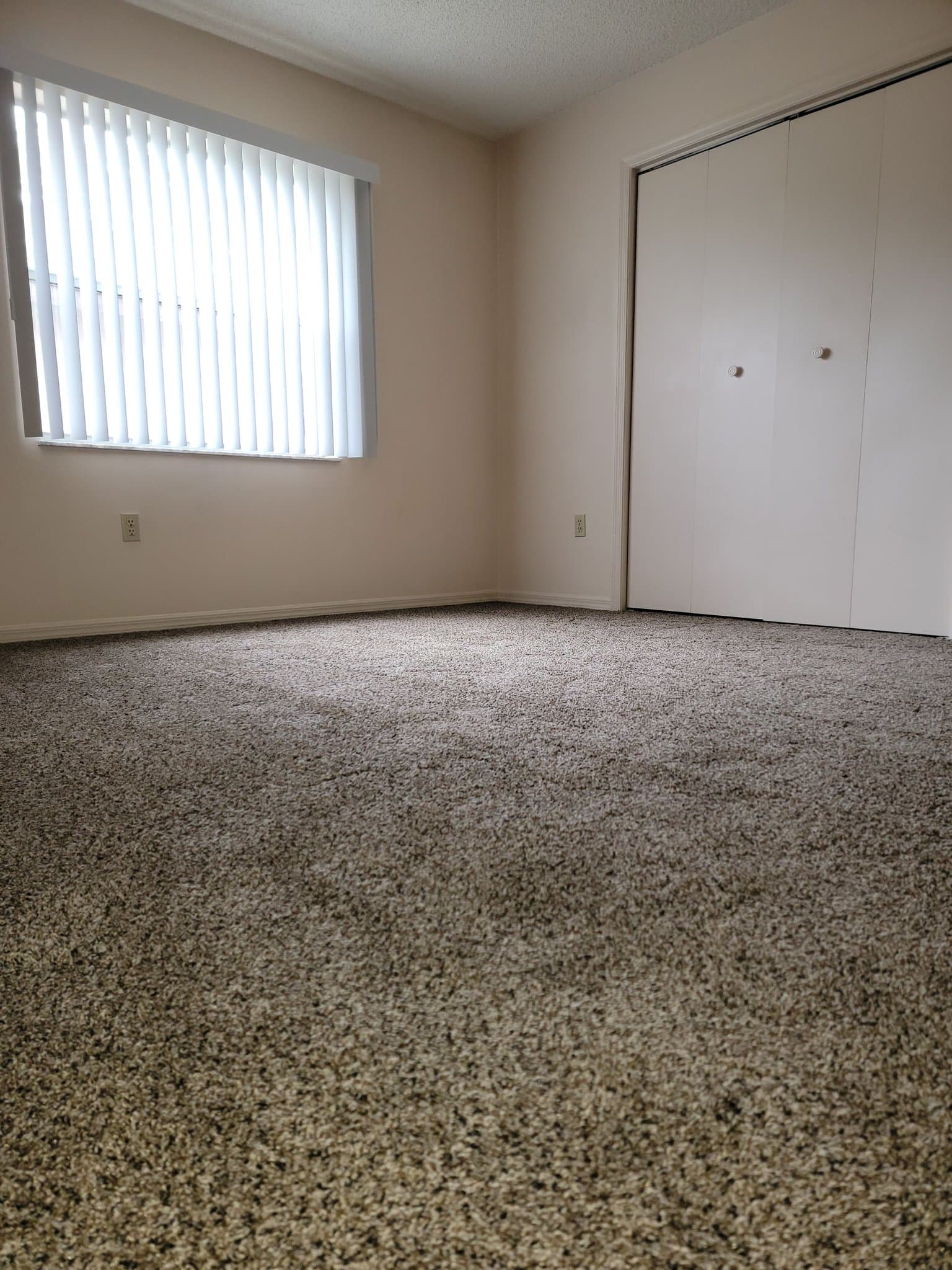 Spring Hill House: 1257a Malone Ave