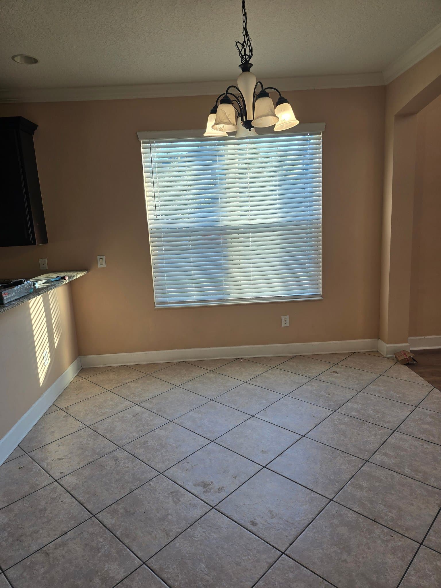 Tampa House: 7802 Tuscany Woods Dr