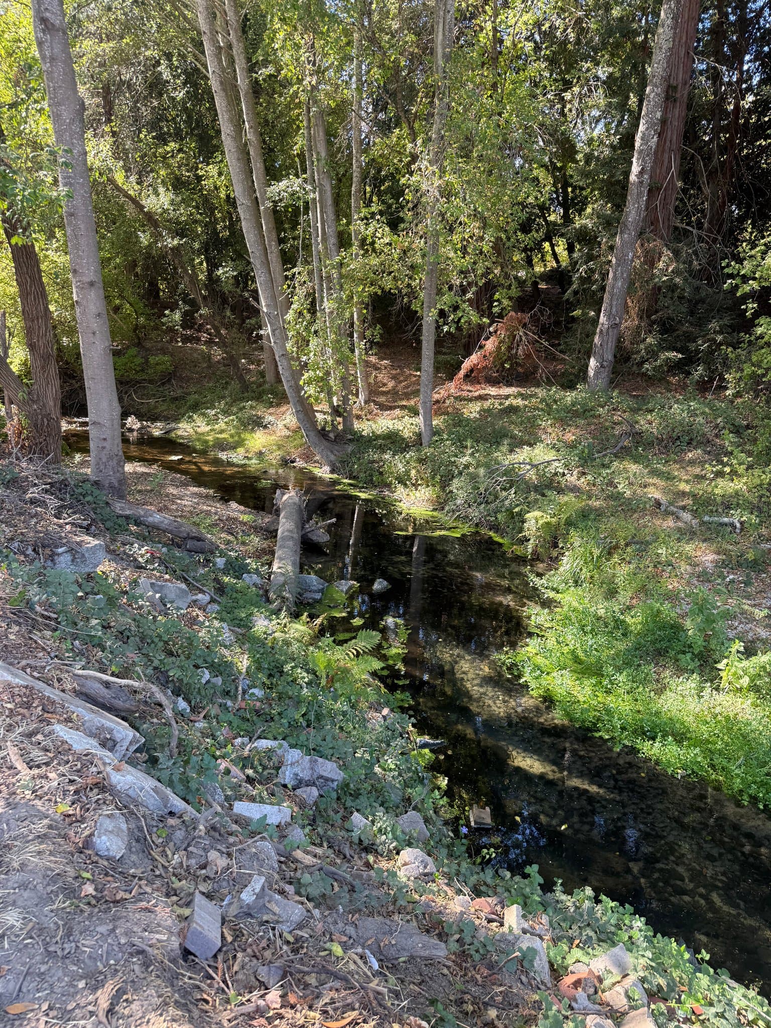 Scotts Valley House: 515 Lockhart Gulch Road
