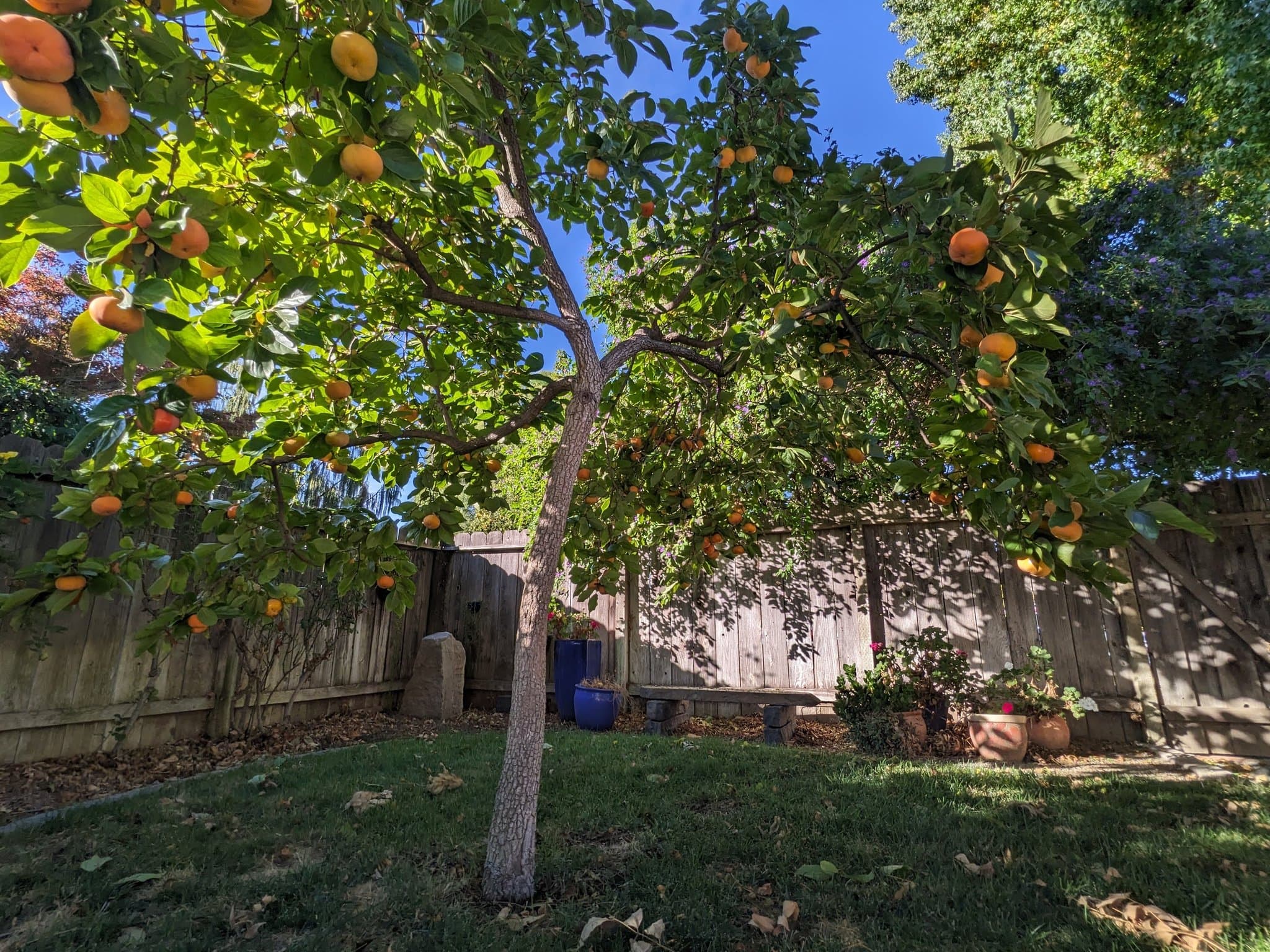 San Jose House: 1001 Princess Anne Dr