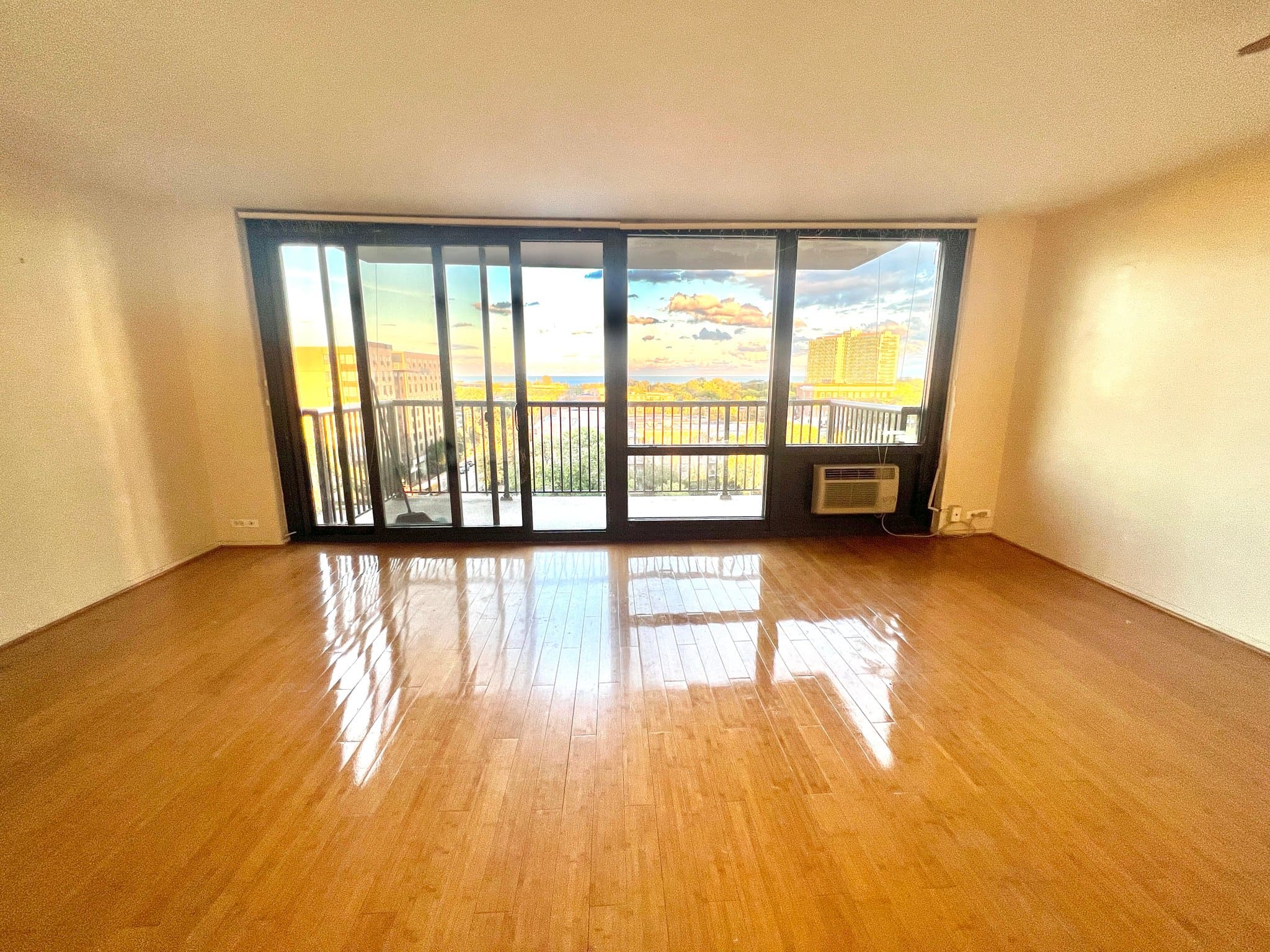 Chicago Condo: 2605 S Indiana Ave