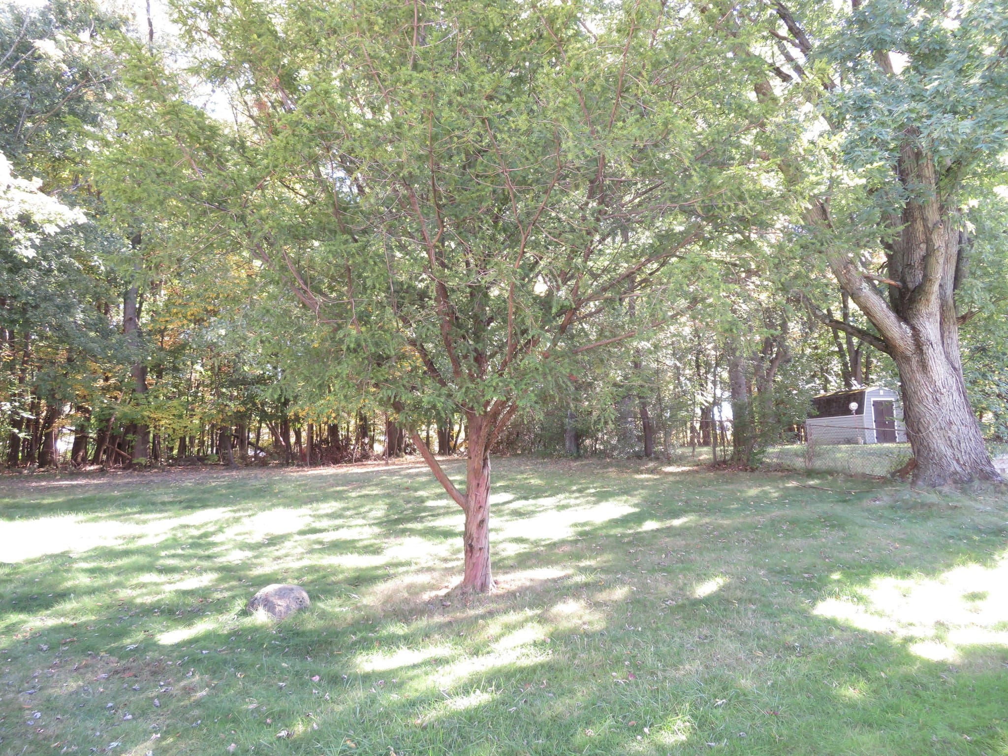 Akron House: 1615 Hyde Park Ave